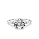 לבן,לבן,לבן,לבן,רוז,רוז,רוז,רוז,צהוב,צהוב,צהוב,צהוב