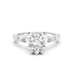 לבן,לבן,לבן,לבן,רוז,רוז,רוז,רוז,צהוב,צהוב,צהוב,צהוב