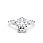 לבן,לבן,לבן,לבן,רוז,רוז,רוז,רוז,צהוב,צהוב,צהוב,צהוב