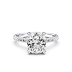 לבן,לבן,לבן,לבן,רוז,רוז,רוז,רוז,צהוב,צהוב,צהוב,צהוב