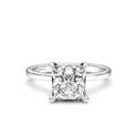 VARELIA Hidden Halo - princess