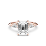 תמונת אב רוז(3)