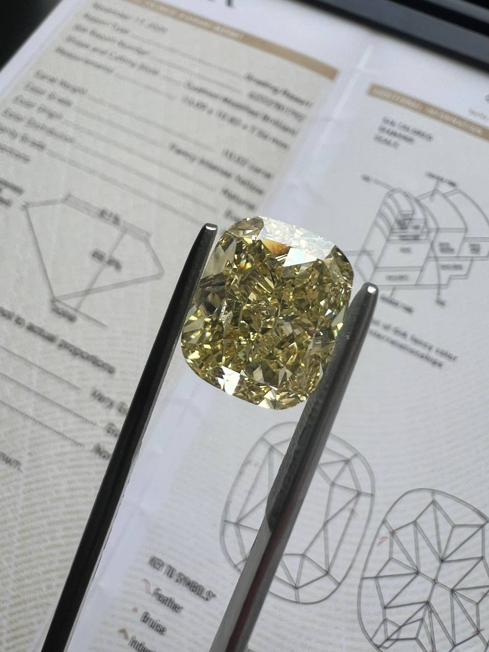 Diamond Certification Guide: Understanding GIA and IGI